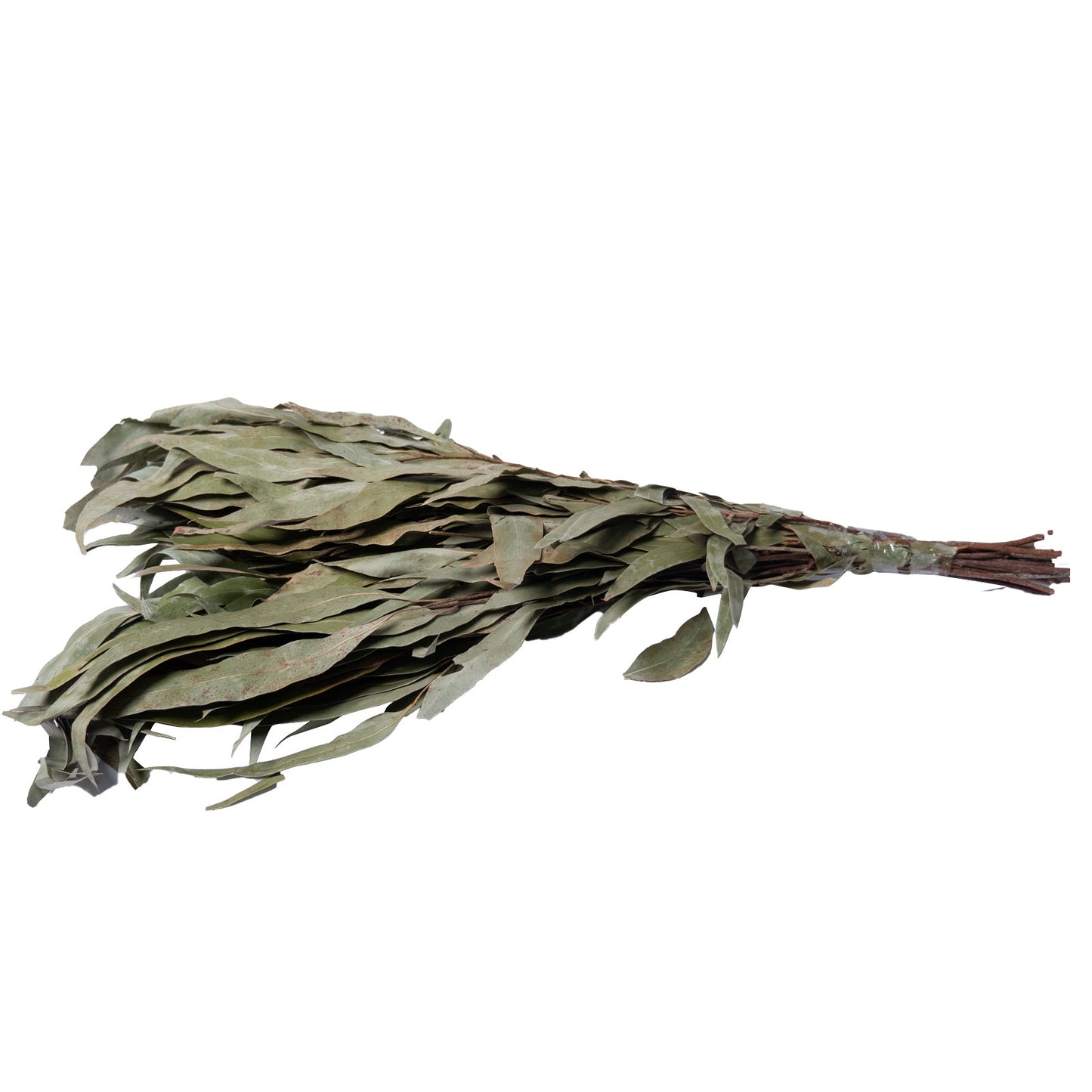 Premium Sauna Whisk