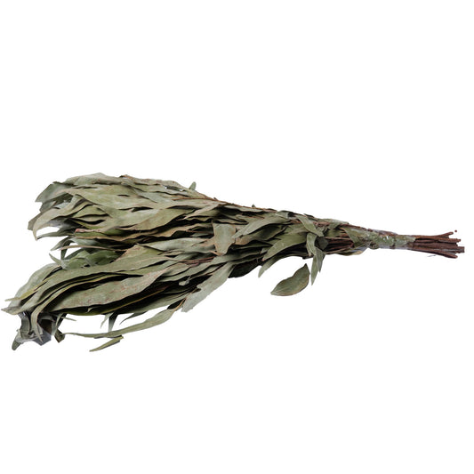 Premium Sauna Whisk